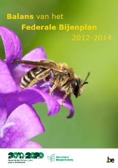 thumbnail - Balans van het Federale Bijenplan 2012-2014